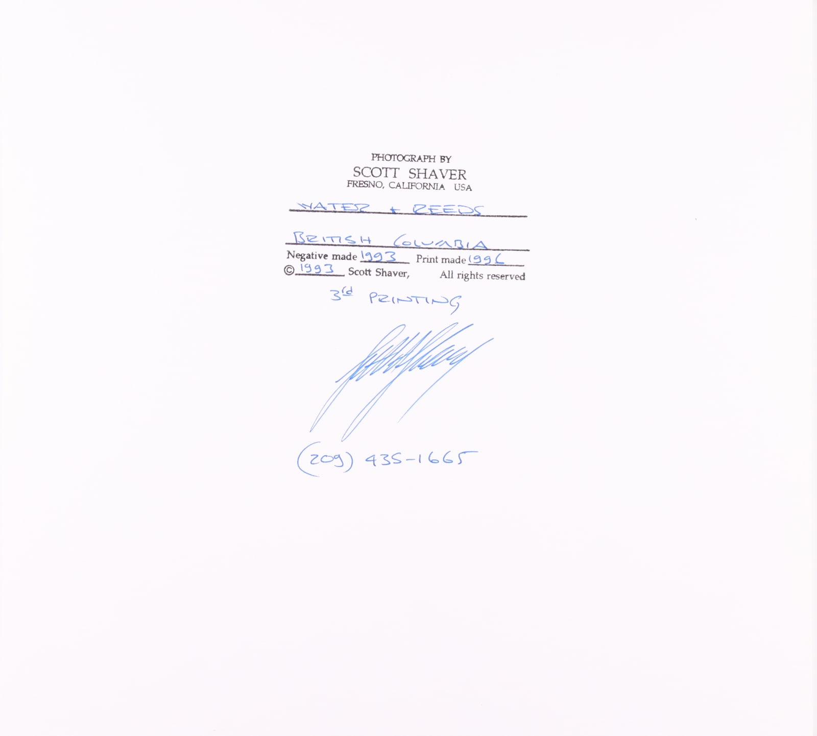 Scott Shaver, Water and Reeds, BC Canada, 1993