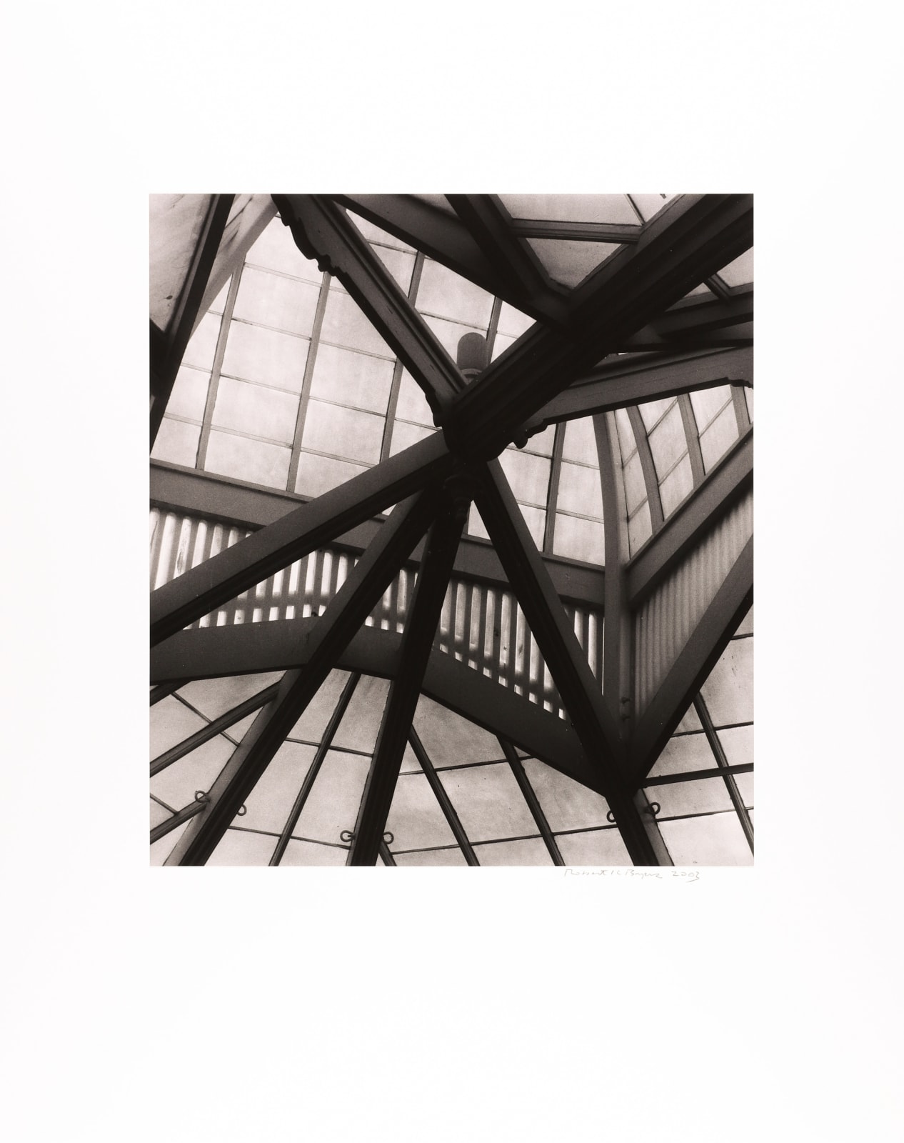 Robert K. Byers, Arboretum Ceiling, San Francisco, 2003