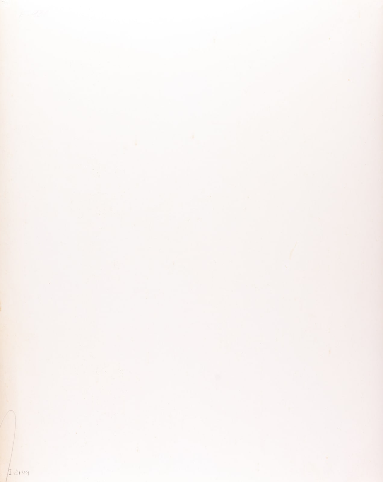 Laure Albin Guillot, Étude De Fleurs, c. 1930