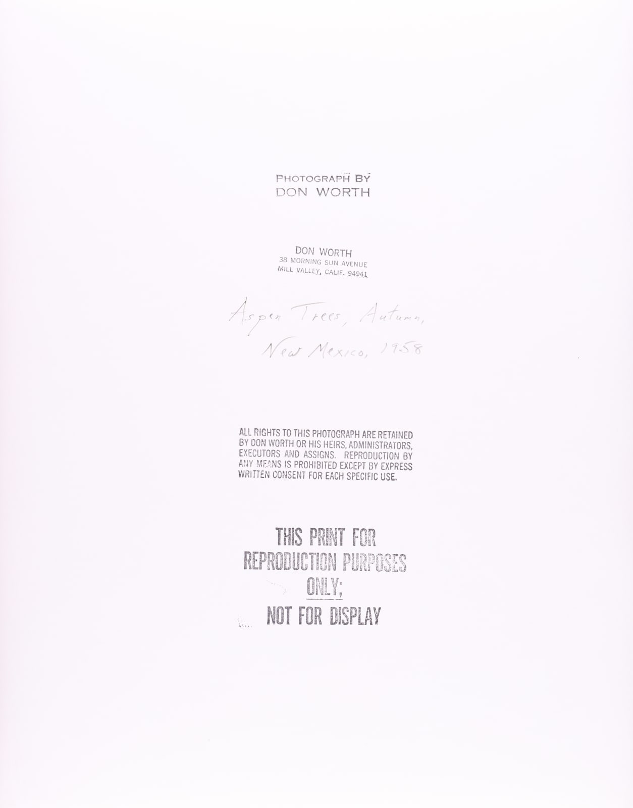 Don Worth, Aspen Trees, Autumn, New Mexico, 1958