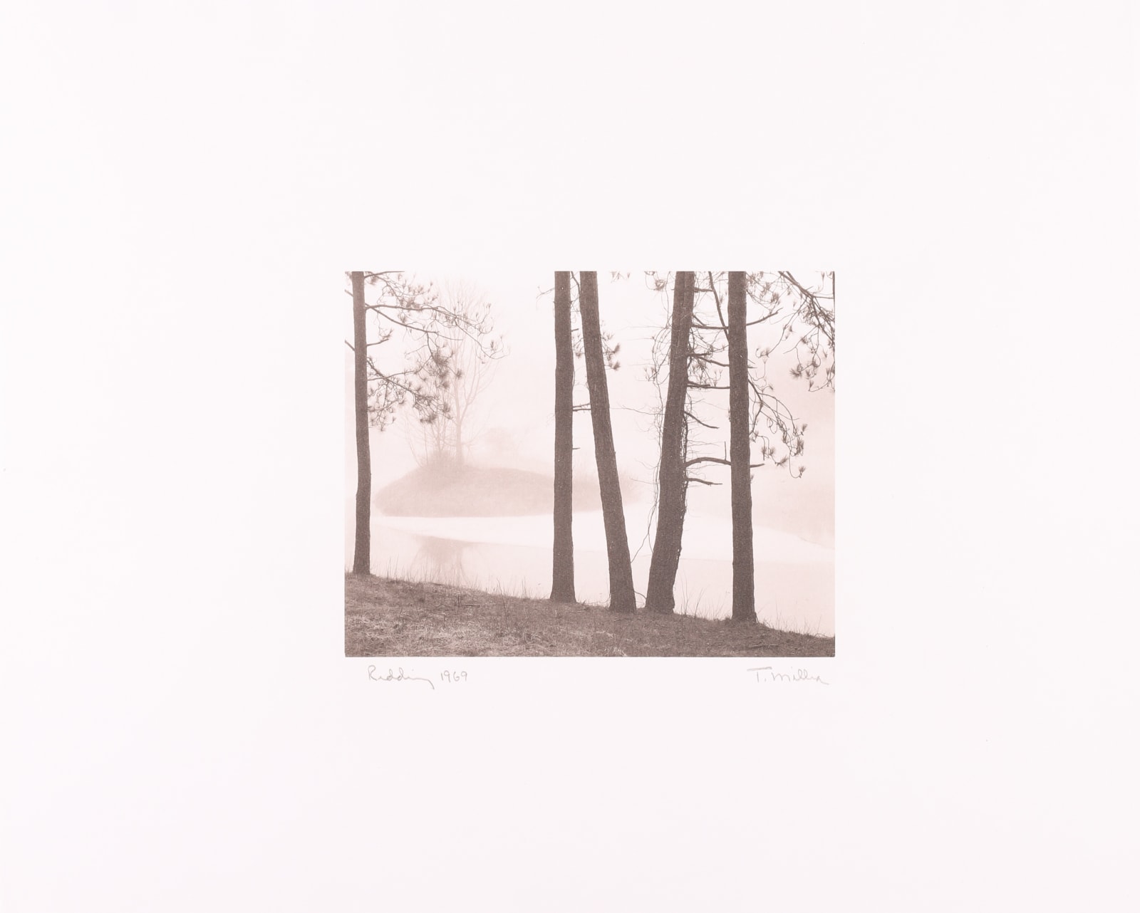 Tom Millea, Redding, Connecticut, 1969