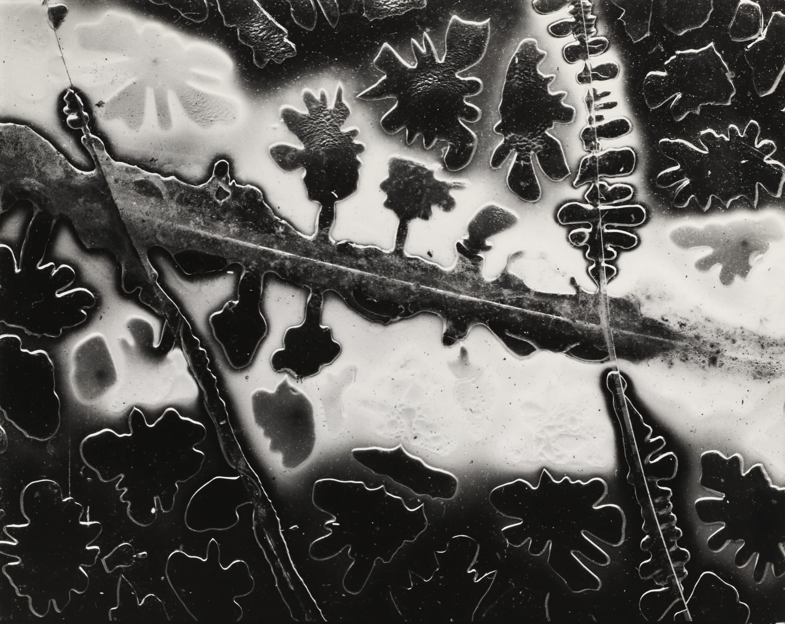 Brett Weston, Broken Glass, 1953