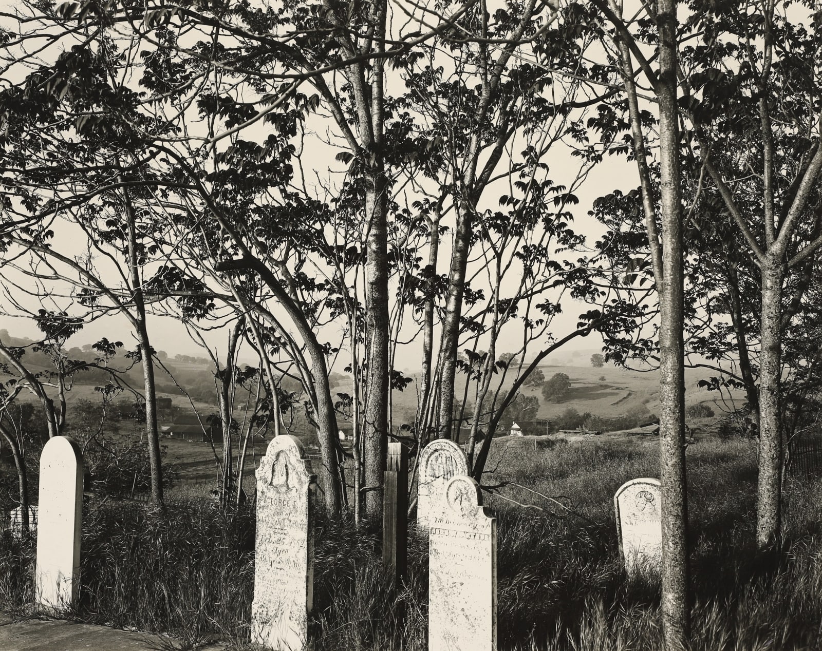 Brett Weston, Cemetery, Hornitos, 1955