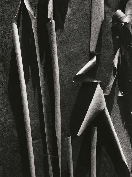 Ansel Adams, Madrone Bark, 1932