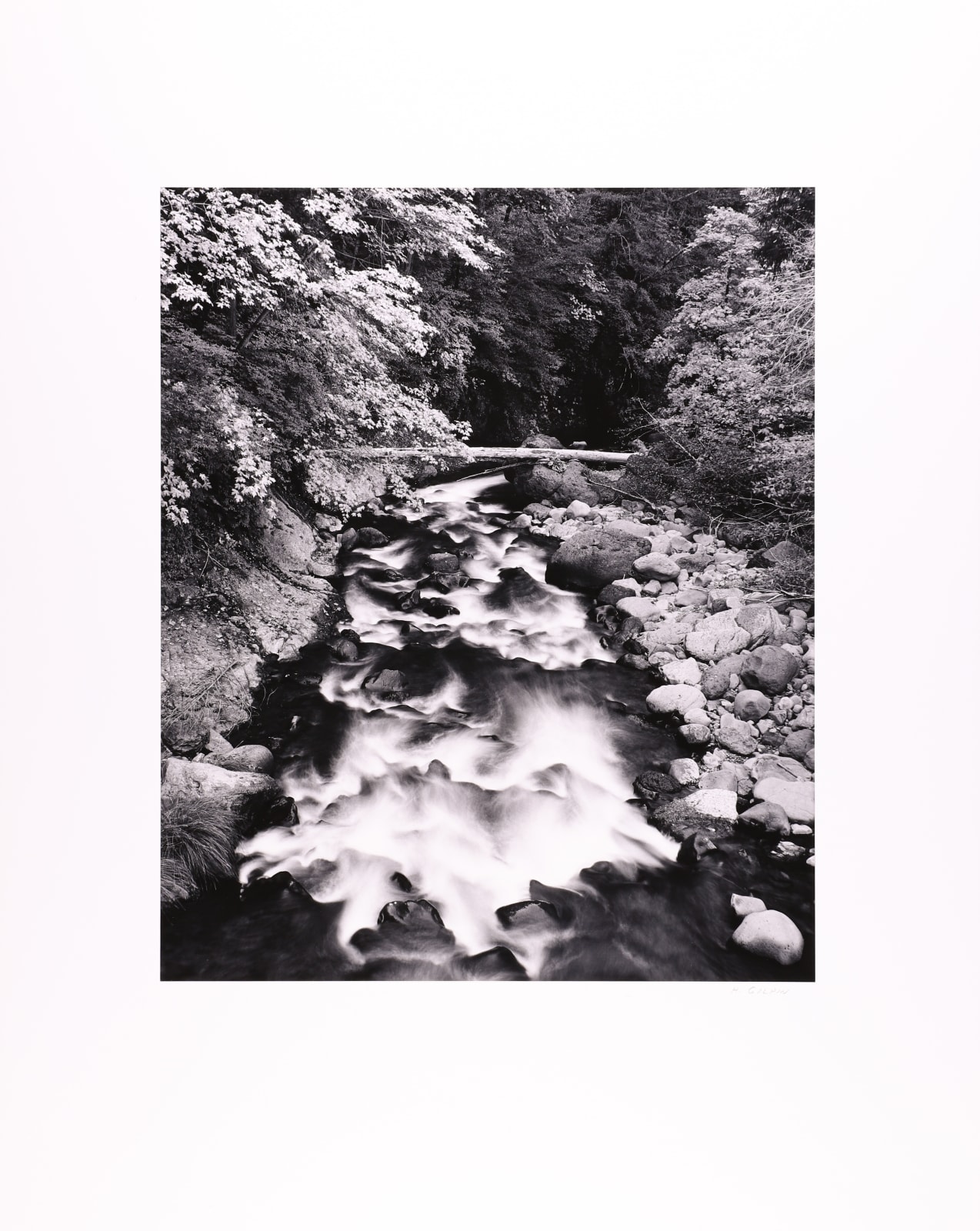 Henry Gilpin, Deer Creek, 1989