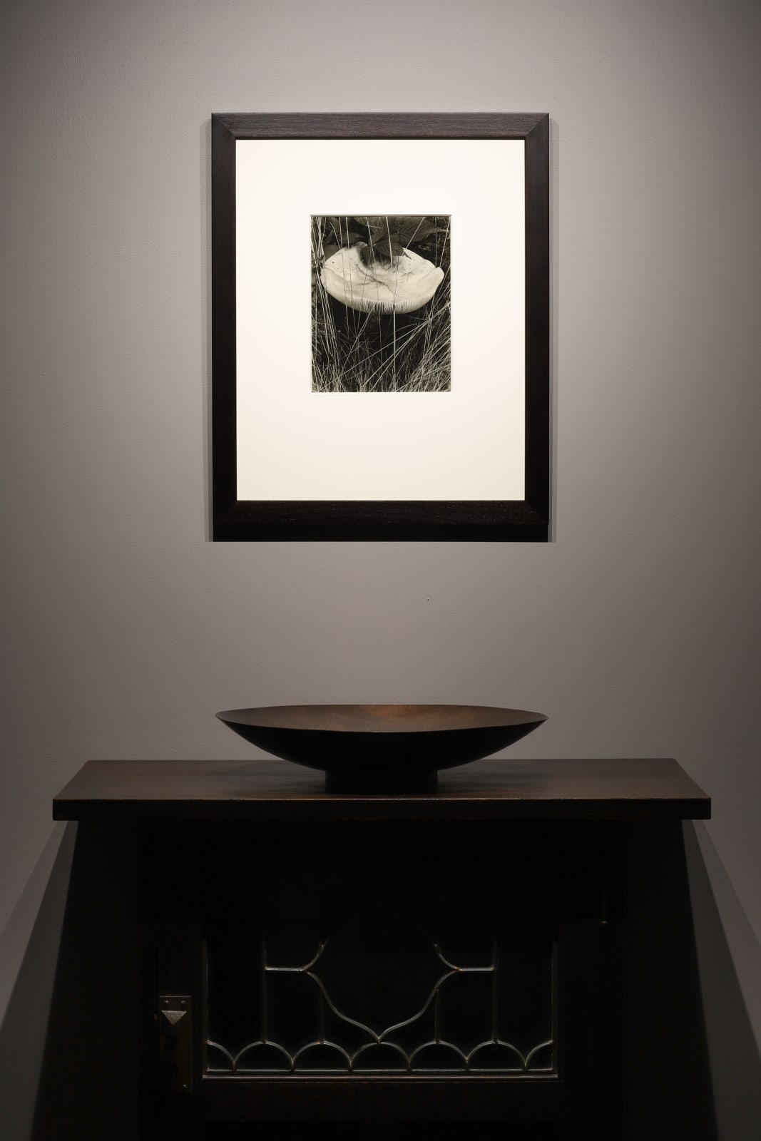 Paul Strand, Toadstool and Grasses, Georgetown, Maine, 1928
