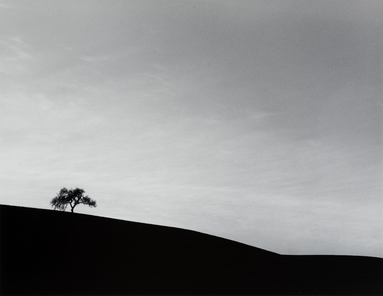 Edna Bullock, Lone Oak, 1985