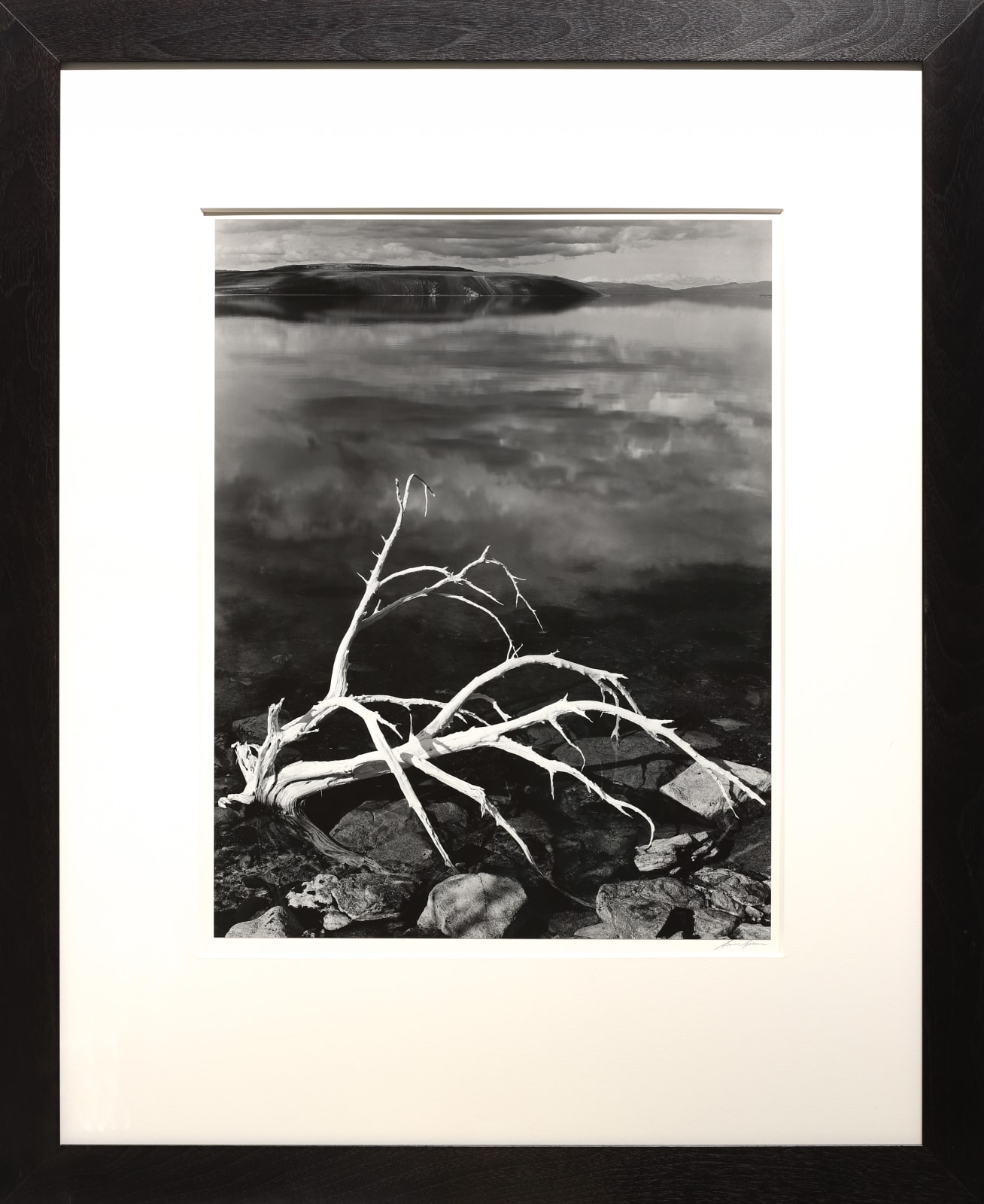 Ansel Adams, White Branches, Mono Lake, CA