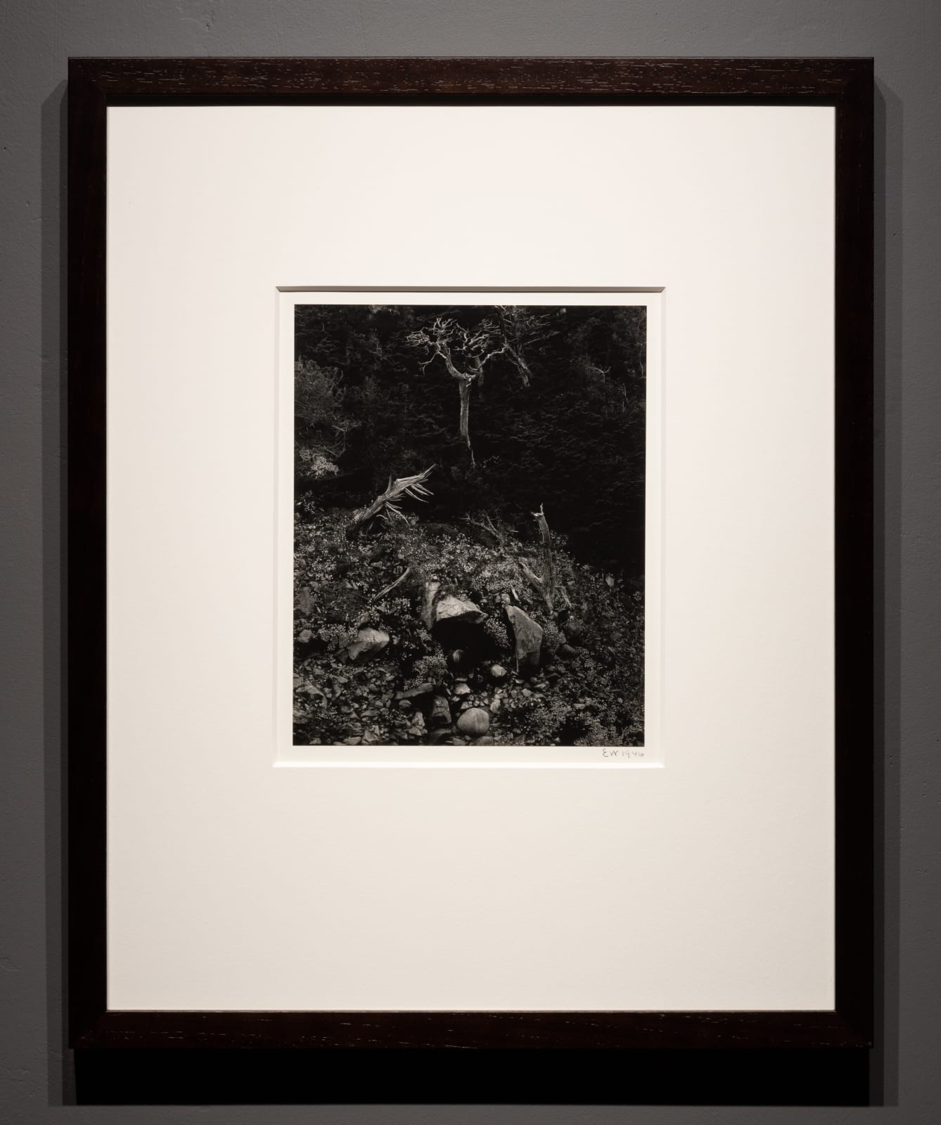 Edward Weston / Brett Weston, North Dome, Point Lobos, 1946