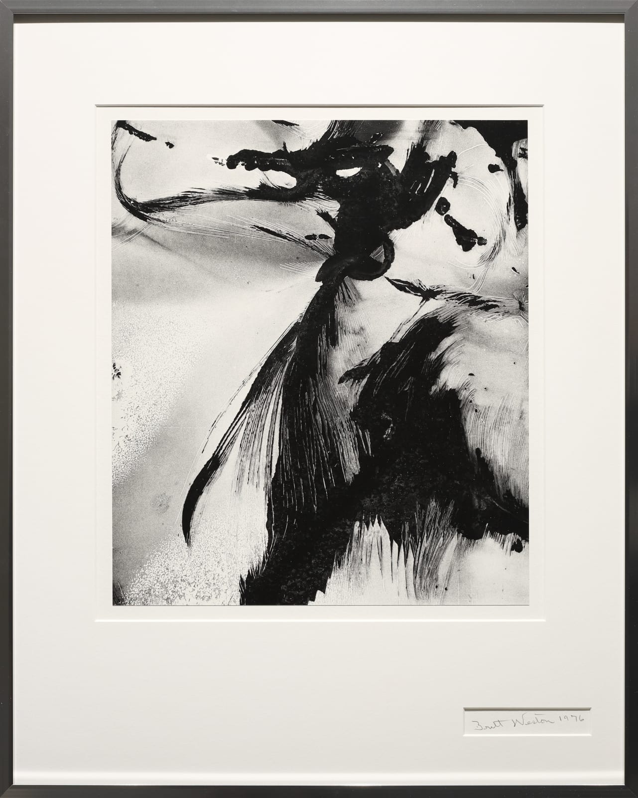 Brett Weston, Elegant Gorp, 1976