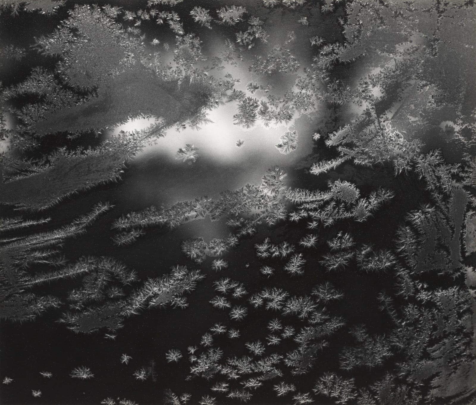 Paul Caponigro, Frosted Window, Revere, MA, 1957