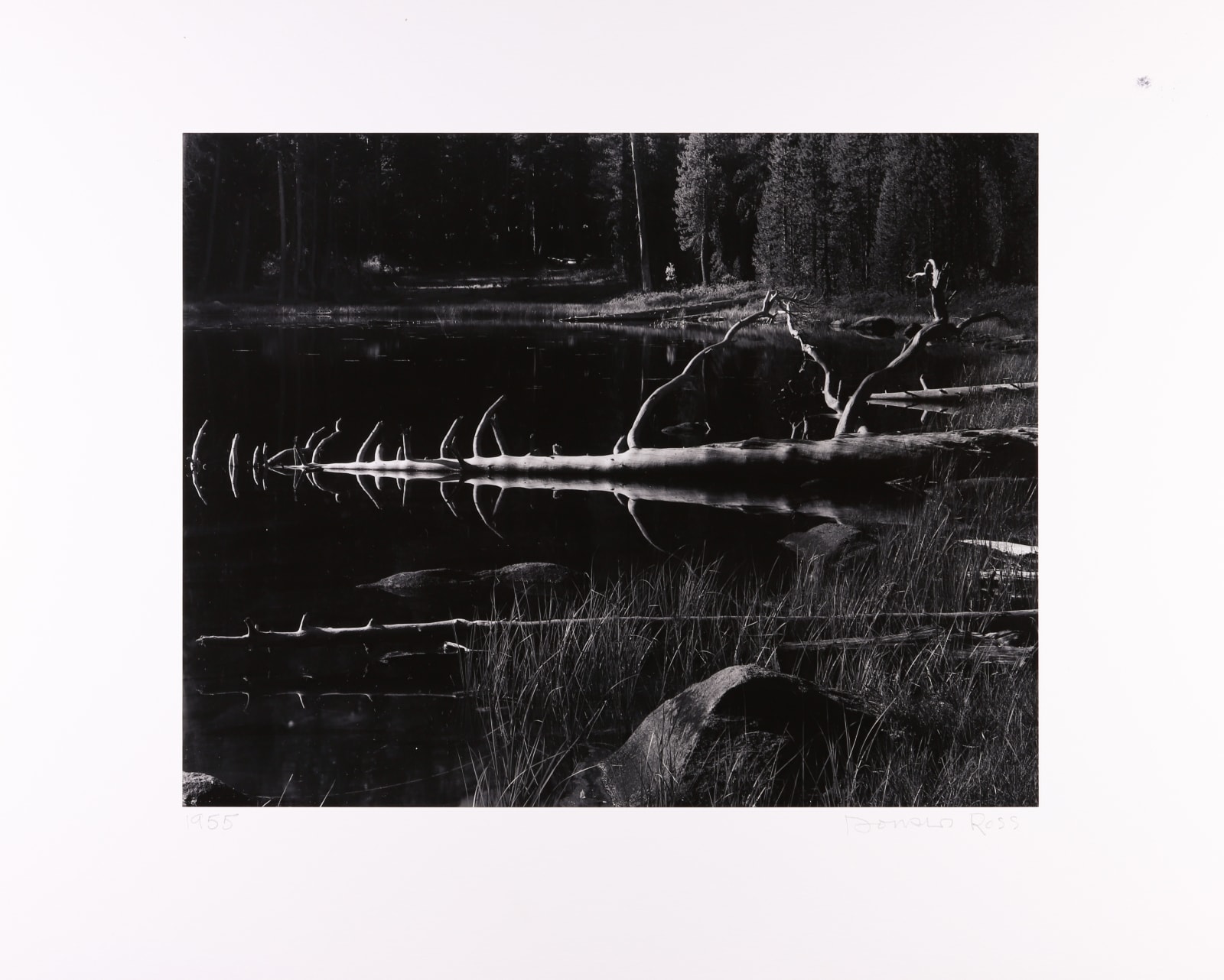 Donald Ross, Pool, High Sierra, 1955, 1955