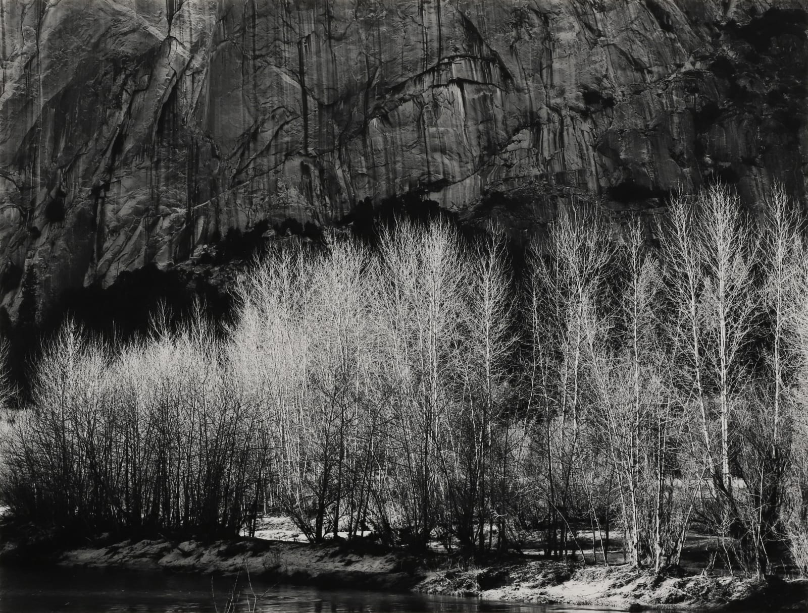 Robert K. Byers, Trees, Yosemite Valley , 1996