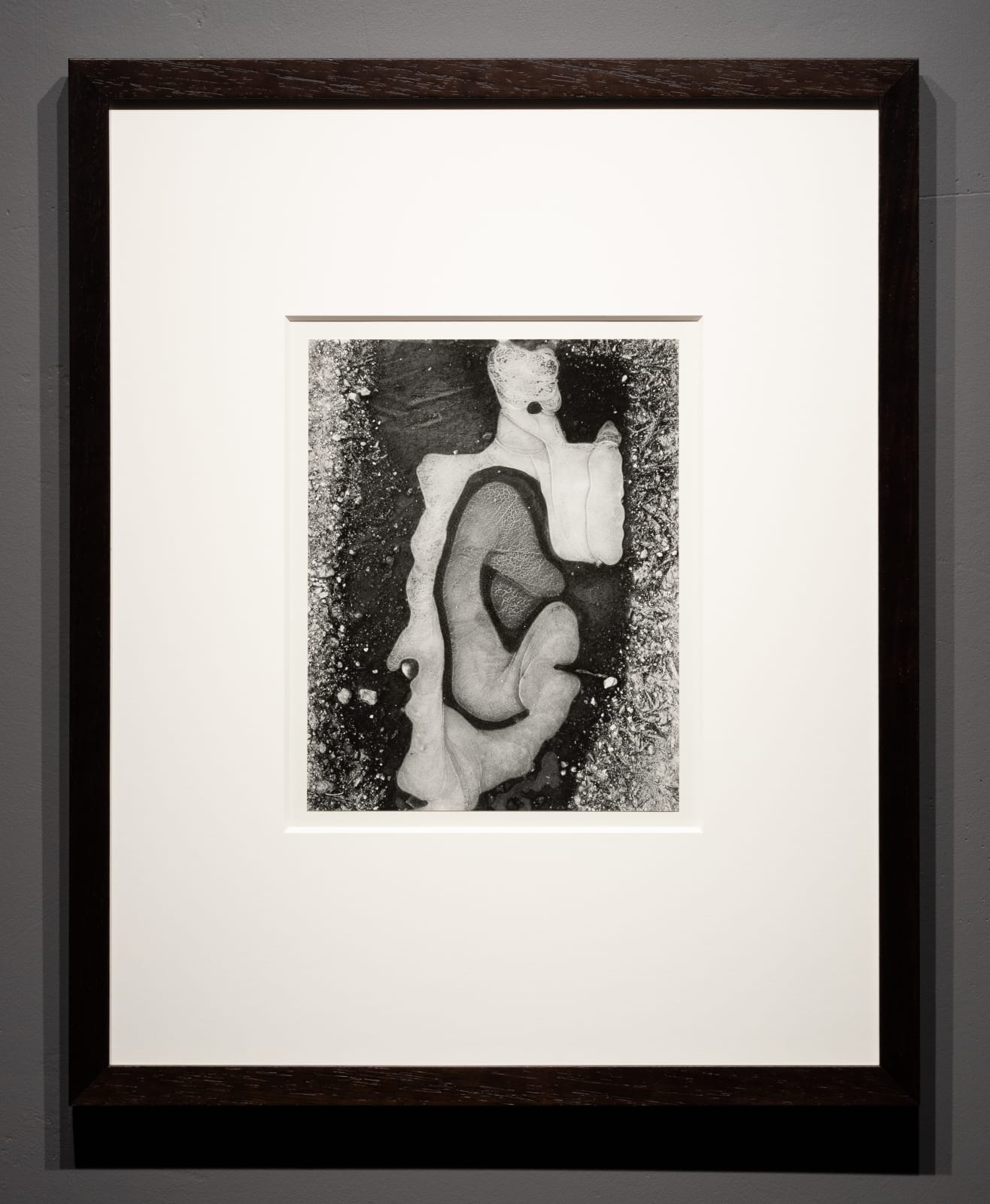 Brett Weston, Ice Form, 1956