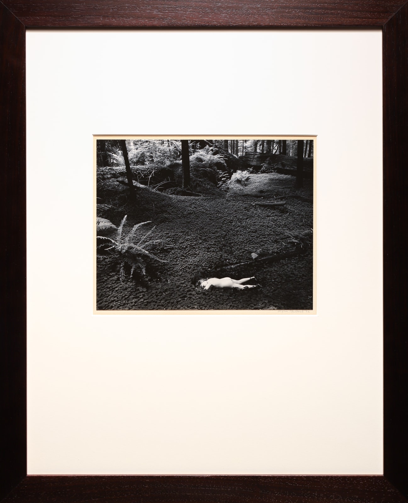 Wynn Bullock, Child in Forest, 1951