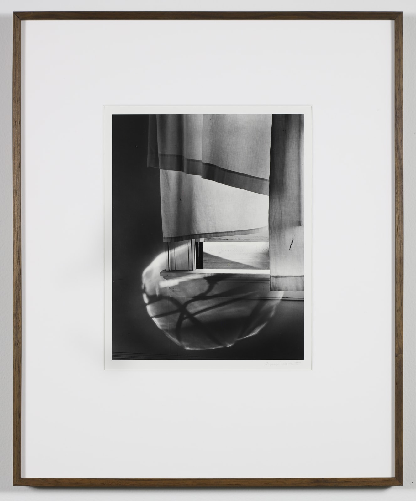 Minor White, Windowsill Daydreaming, 1958