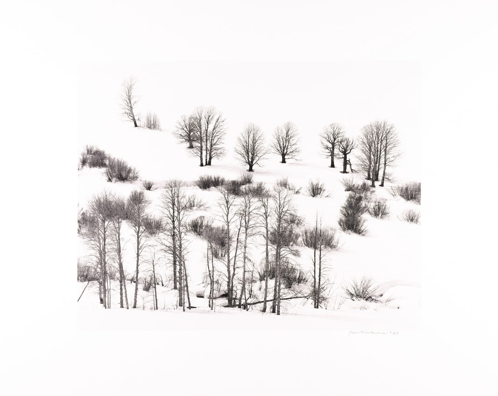 Robert K. Byers, Trees in Snow, Conway Summit, Above Mono Lake, CA, 1983