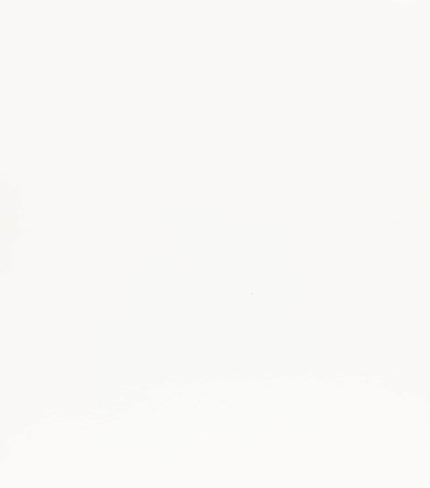 Wynn Bullock, Log and Horsetails, 1957