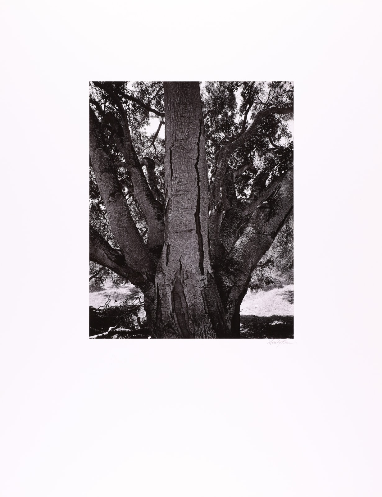 Brett Weston, Garland Memorial Portfolio, 1976