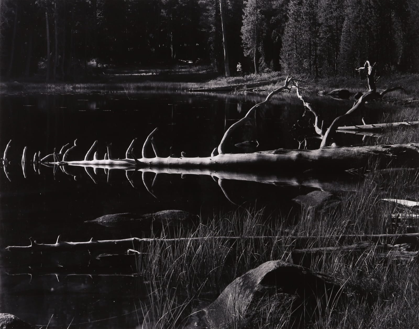 Donald Ross, Pool, High Sierra, 1955, 1955