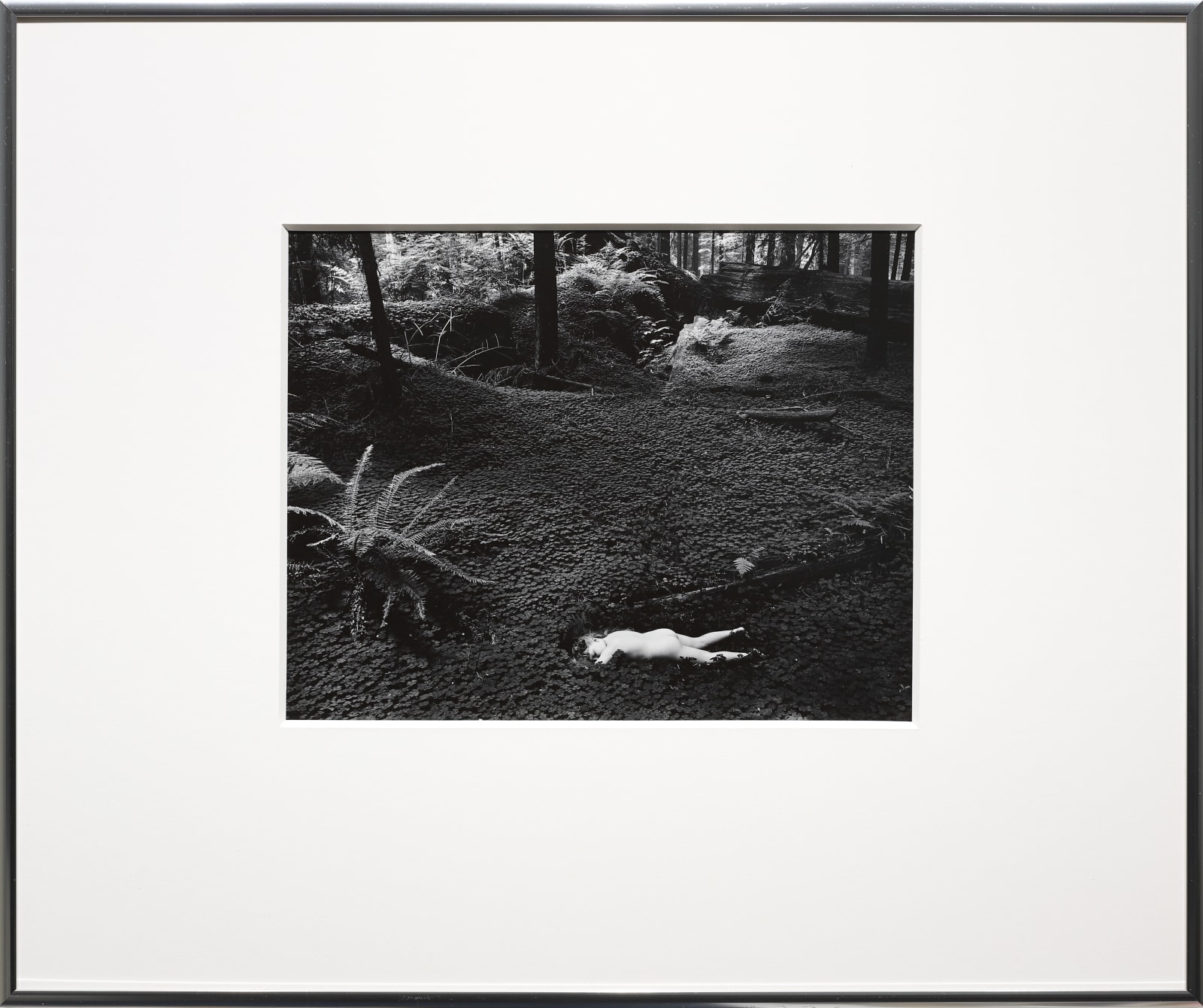 Wynn Bullock, Child in Forest, 1951
