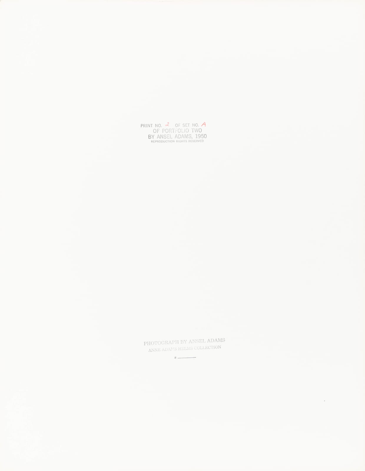 Ansel Adams, Forest, Early Morning, Mount Rainier National Park, Washington, 1949