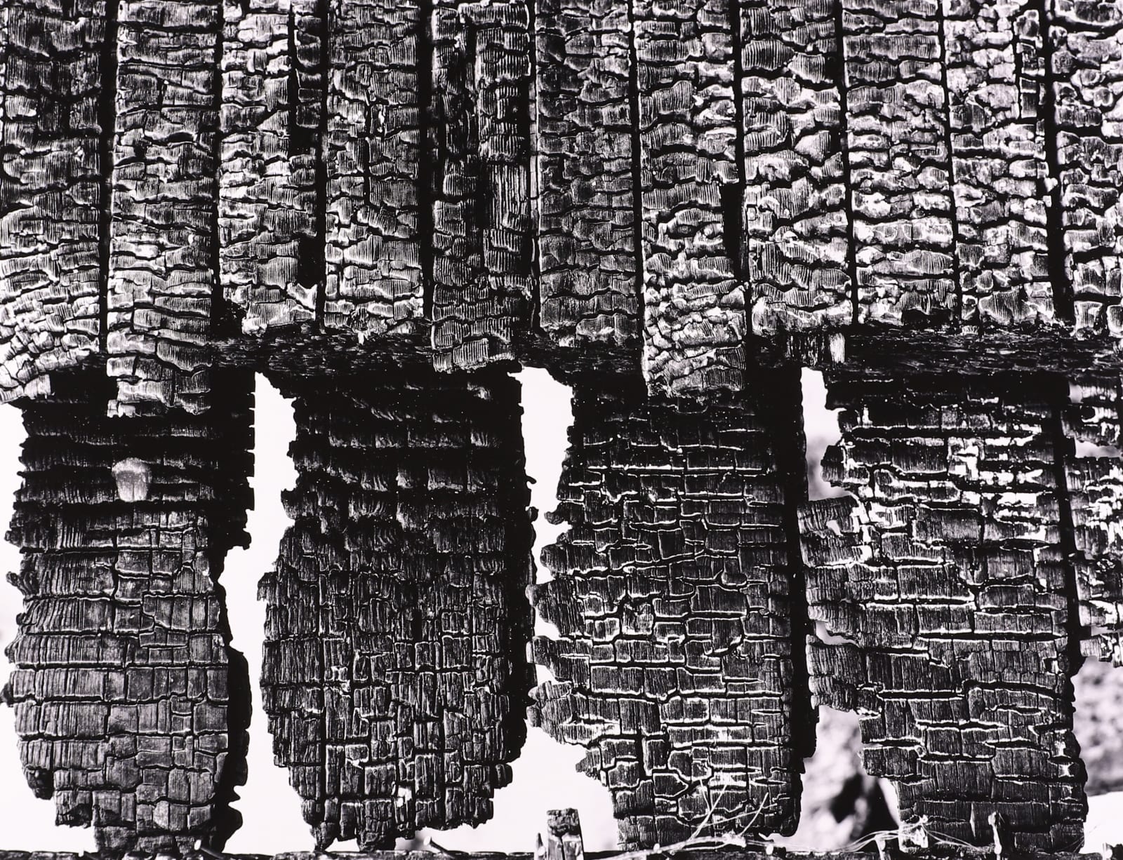 Brett Weston, Firesite Portfolio, 1992