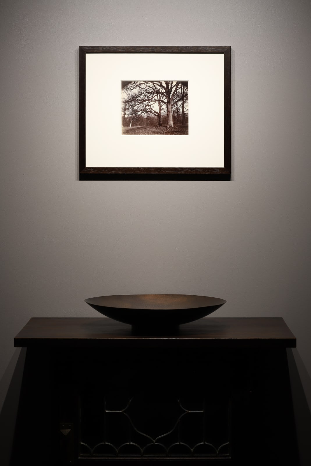 Eugene Atget, Trees, St. Cloud, 1915-19