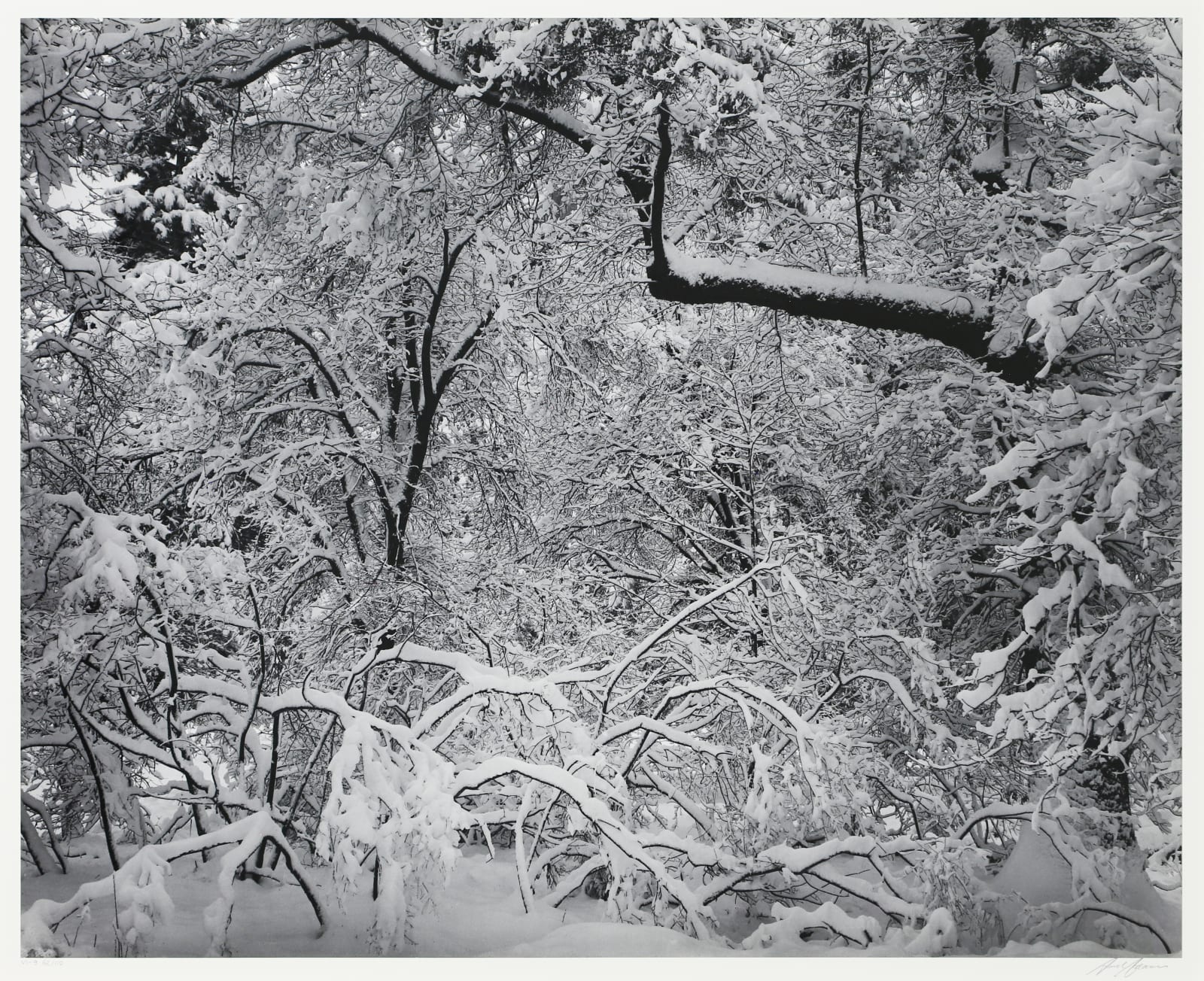 Ansel Adams, Fresh Snow, Yosemite Valley, 1947