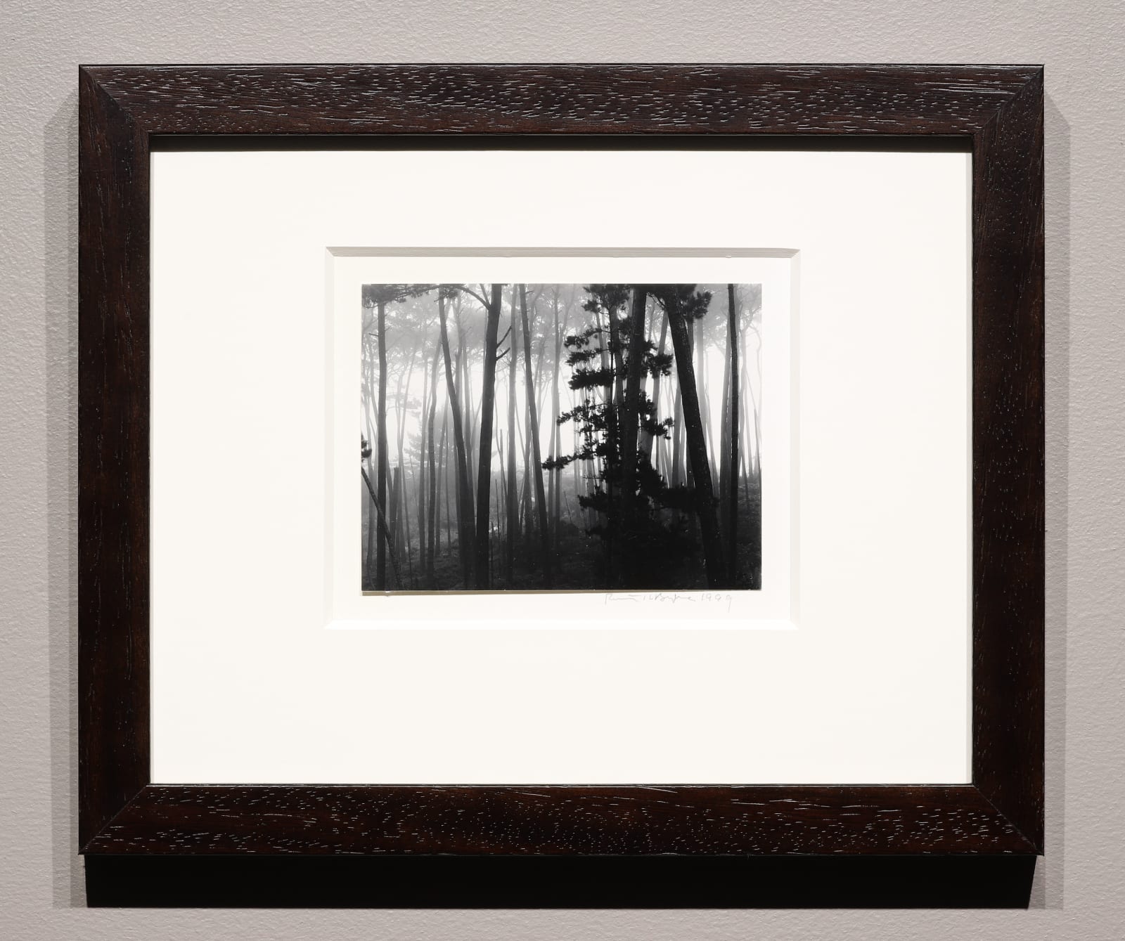 Robert K. Byers, Trees in Fog, Pebble Beach, California, 1999