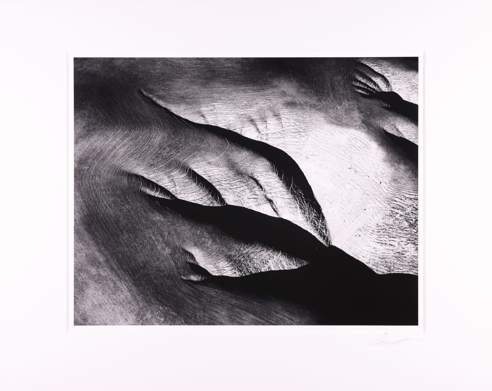 William Garnett, Stock Trails Near Paso Robles, CA, 1953