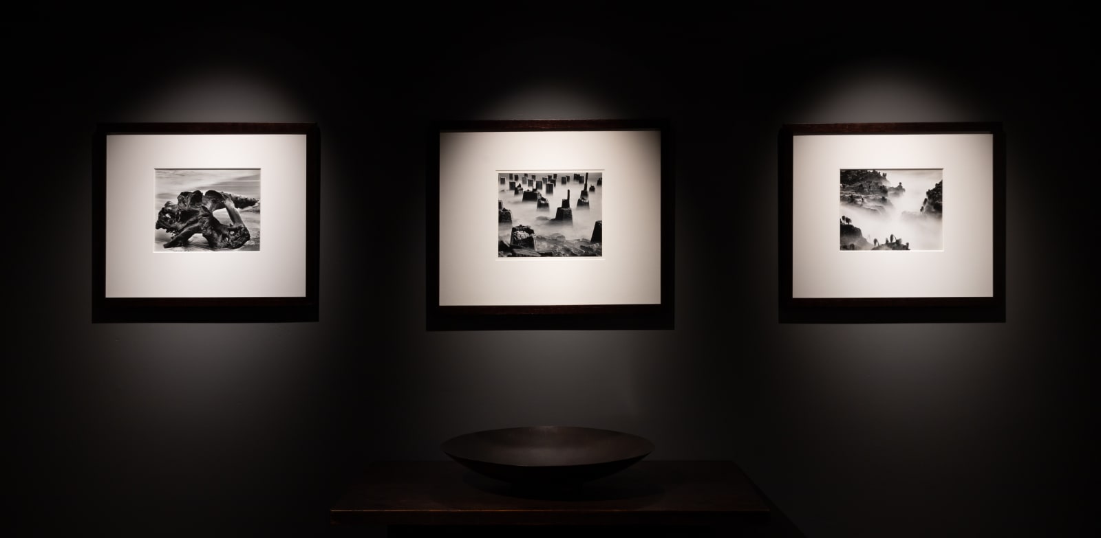 Wynn Bullock, Driftwood, 1951