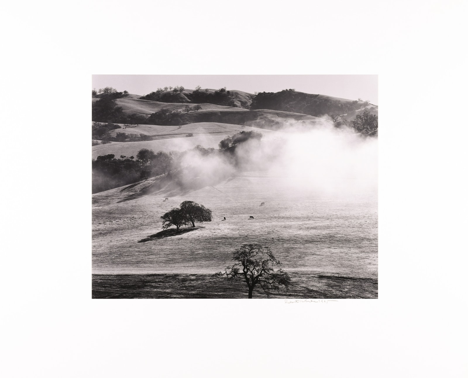 Robert K. Byers, Fog, Corral de Tierra, Monterey County, 1995