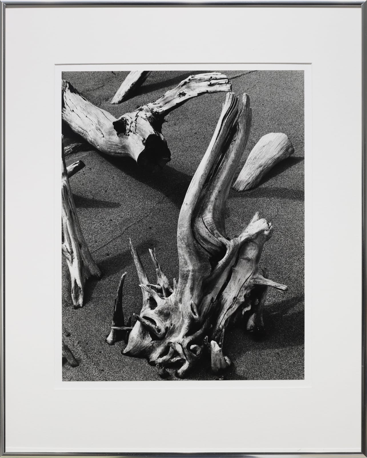 Brett Weston, Driftwood, Hawaii, 1978