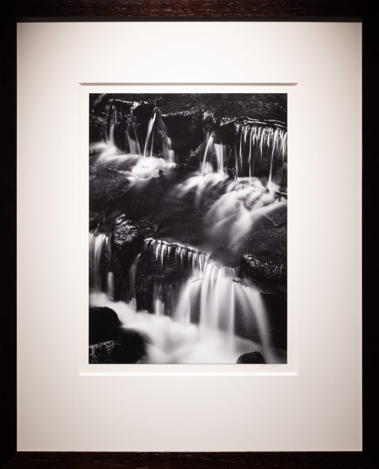 Ansel Adams, Fern Spring, Dusk, Yosemite, 1961