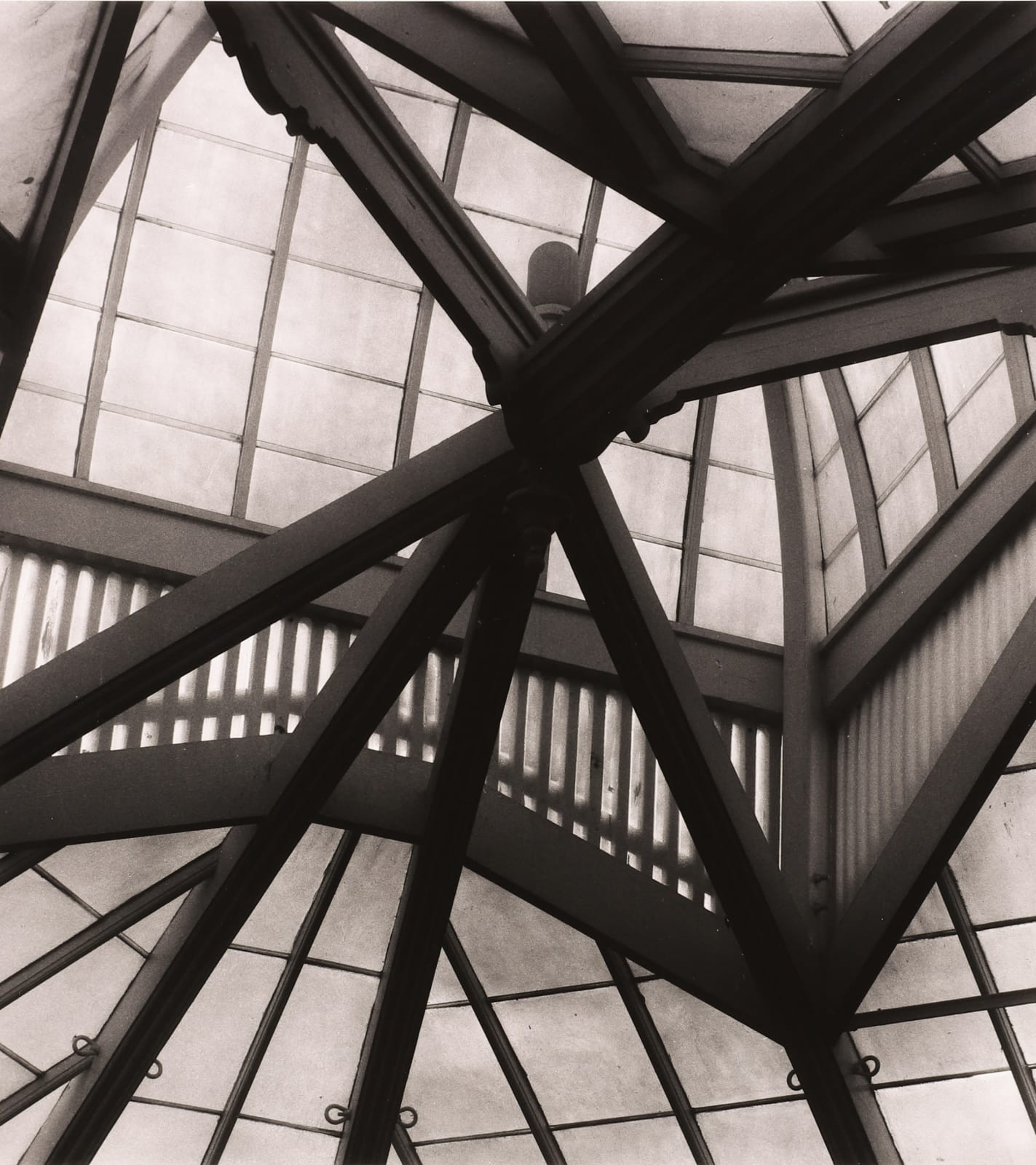 Robert K. Byers, Arboretum Ceiling, San Francisco, 2003