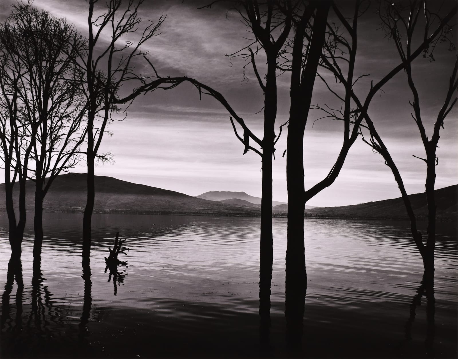 Brett Weston, Lake Patzcuaro, Mexico, 1976
