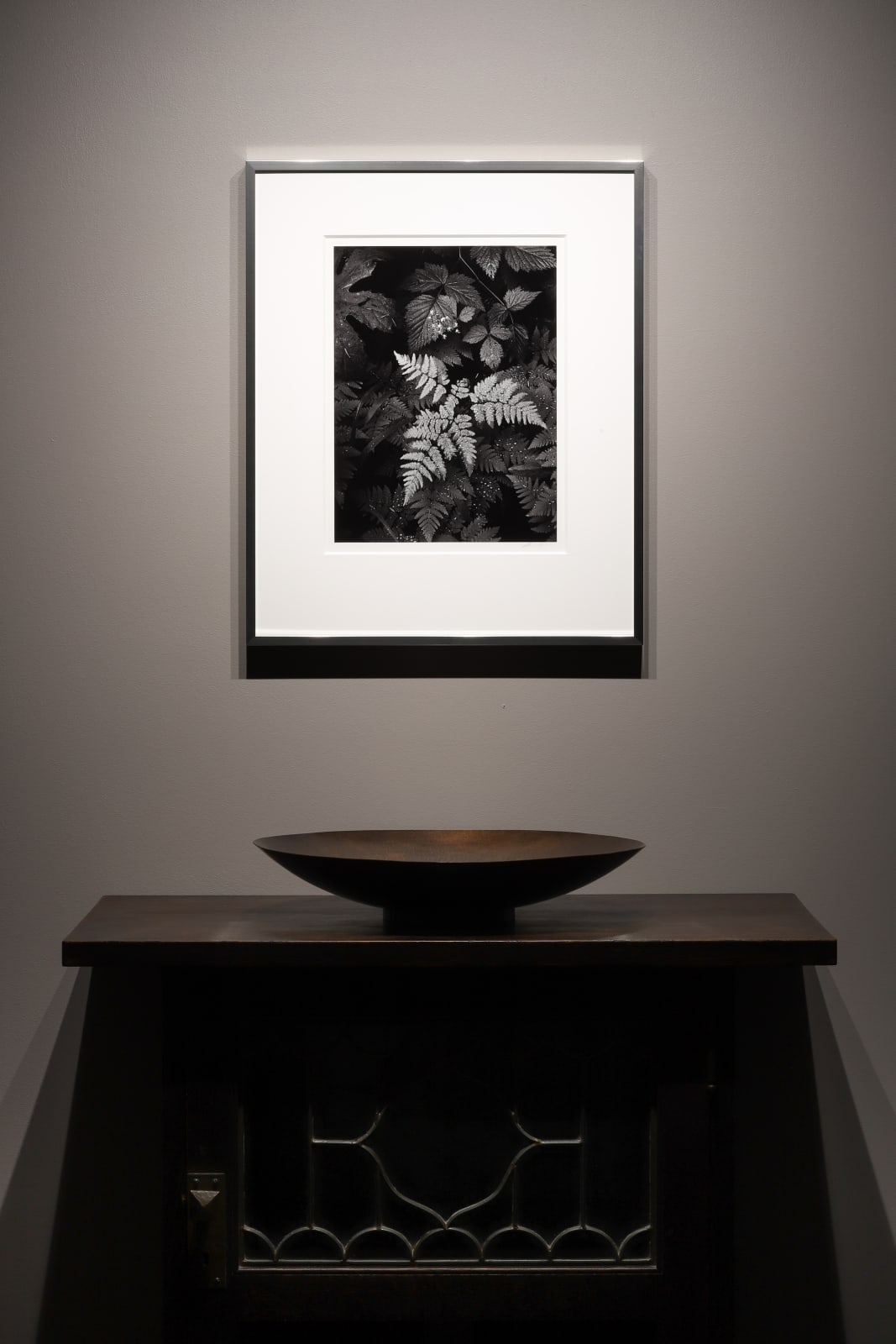 Ansel Adams, Leaves, Mt Rainier, National Park, Washington, 1942