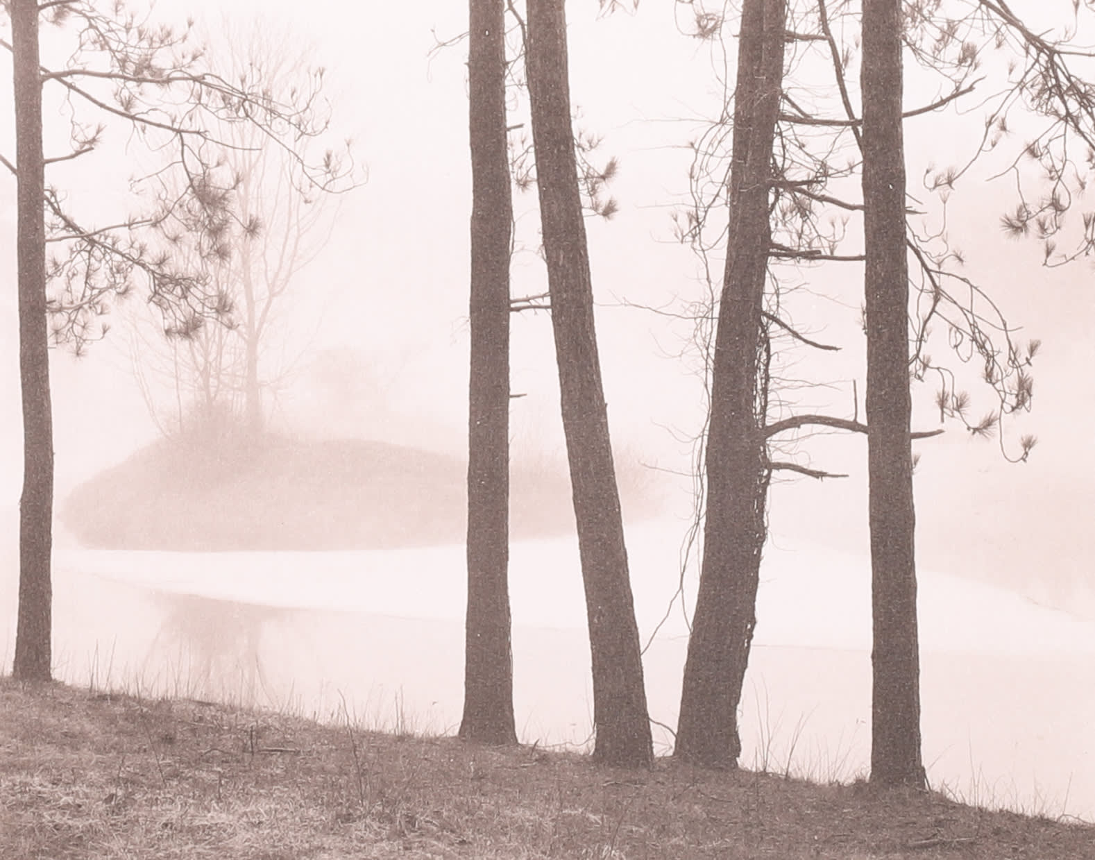 Tom Millea, Redding, Connecticut, 1969