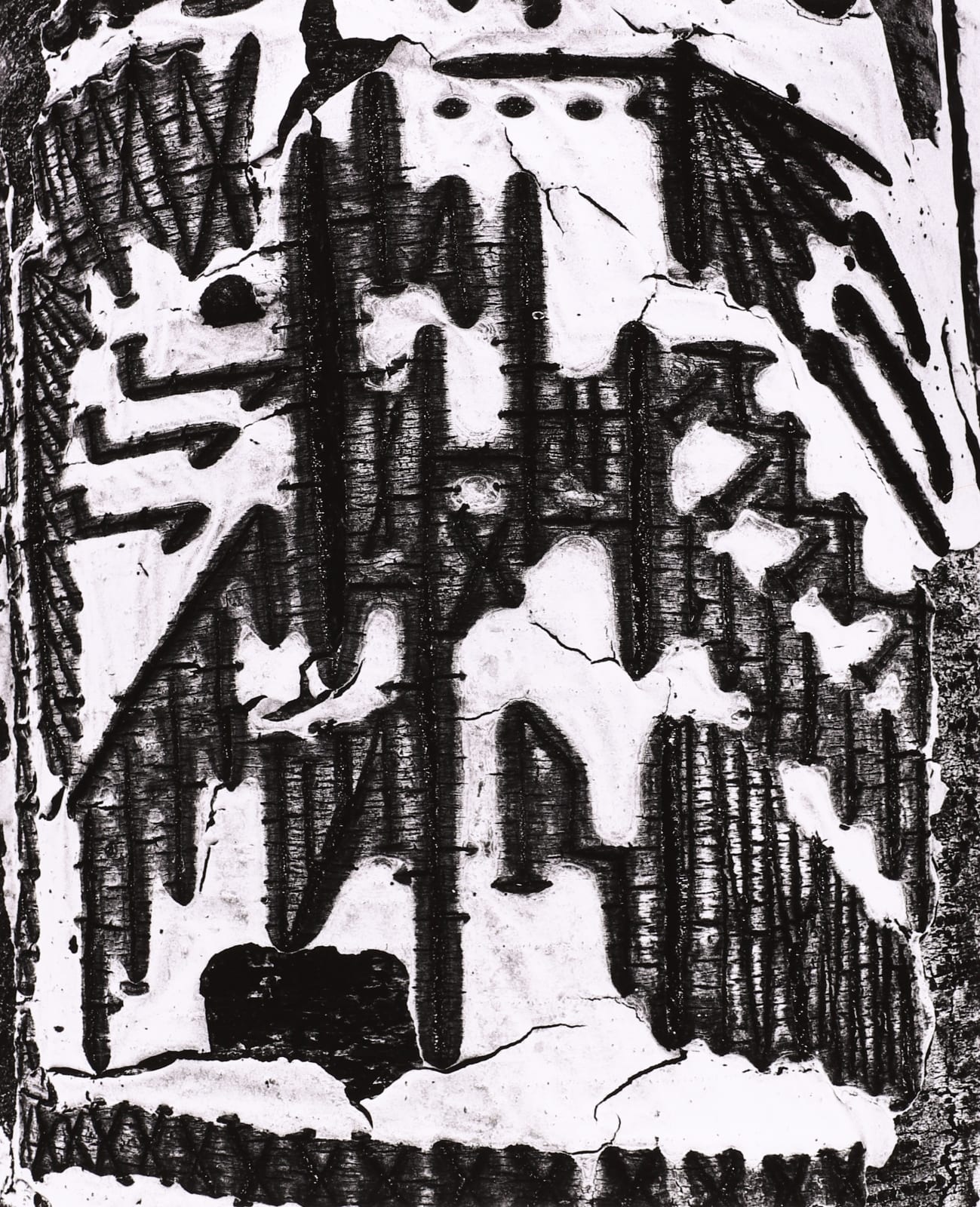 Brett Weston, Aspen Trunk, 1981