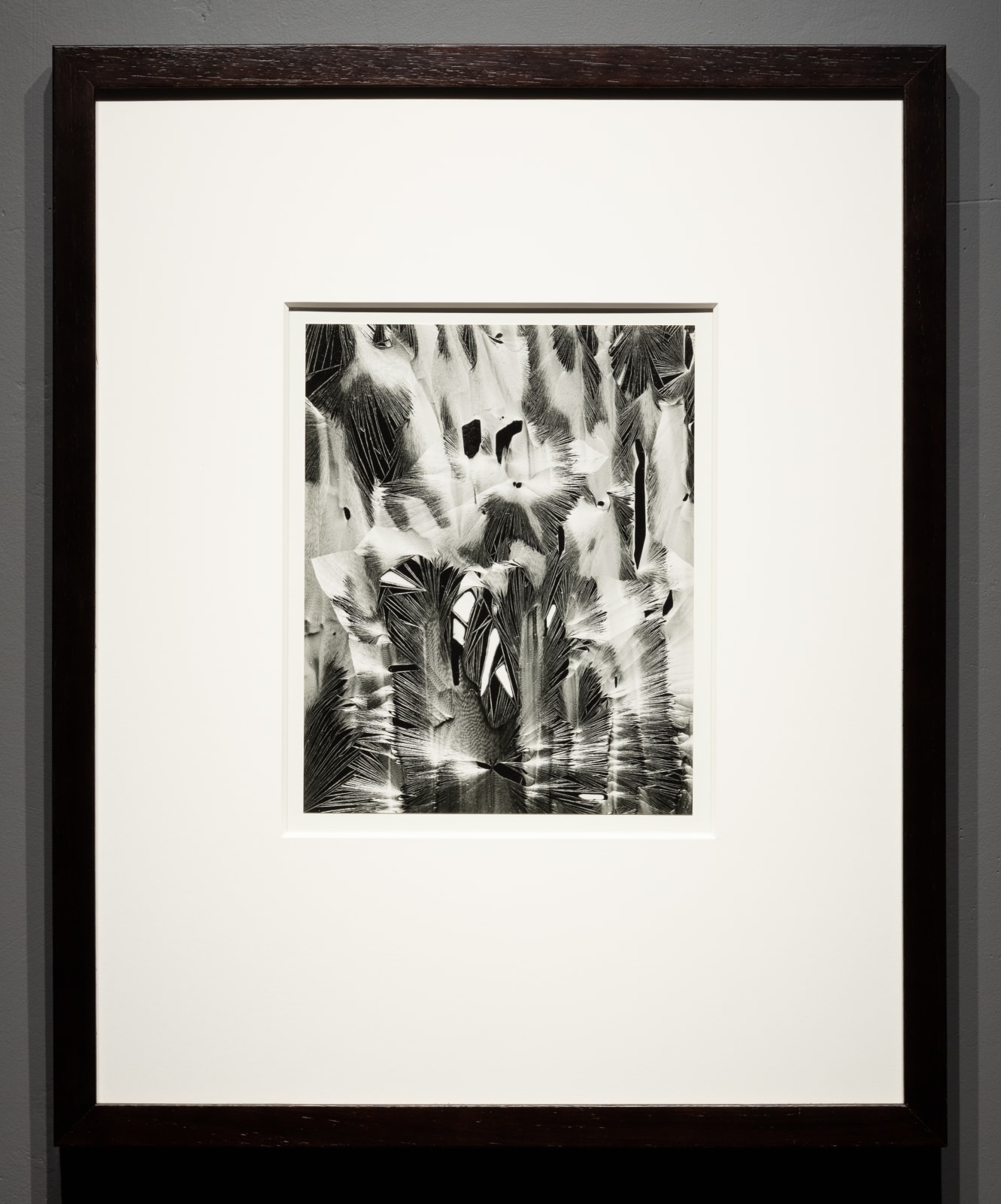 Brett Weston, Cracked Paint, Garrapata, c. 1952