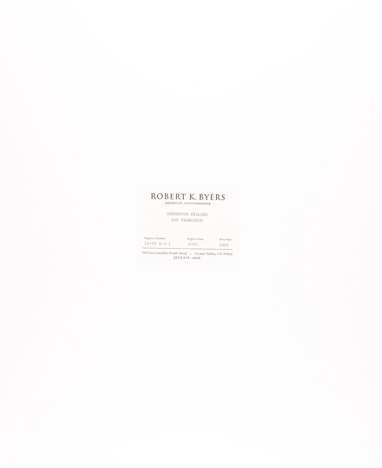 Robert K. Byers, Arboretum Ceiling, San Francisco, 2003