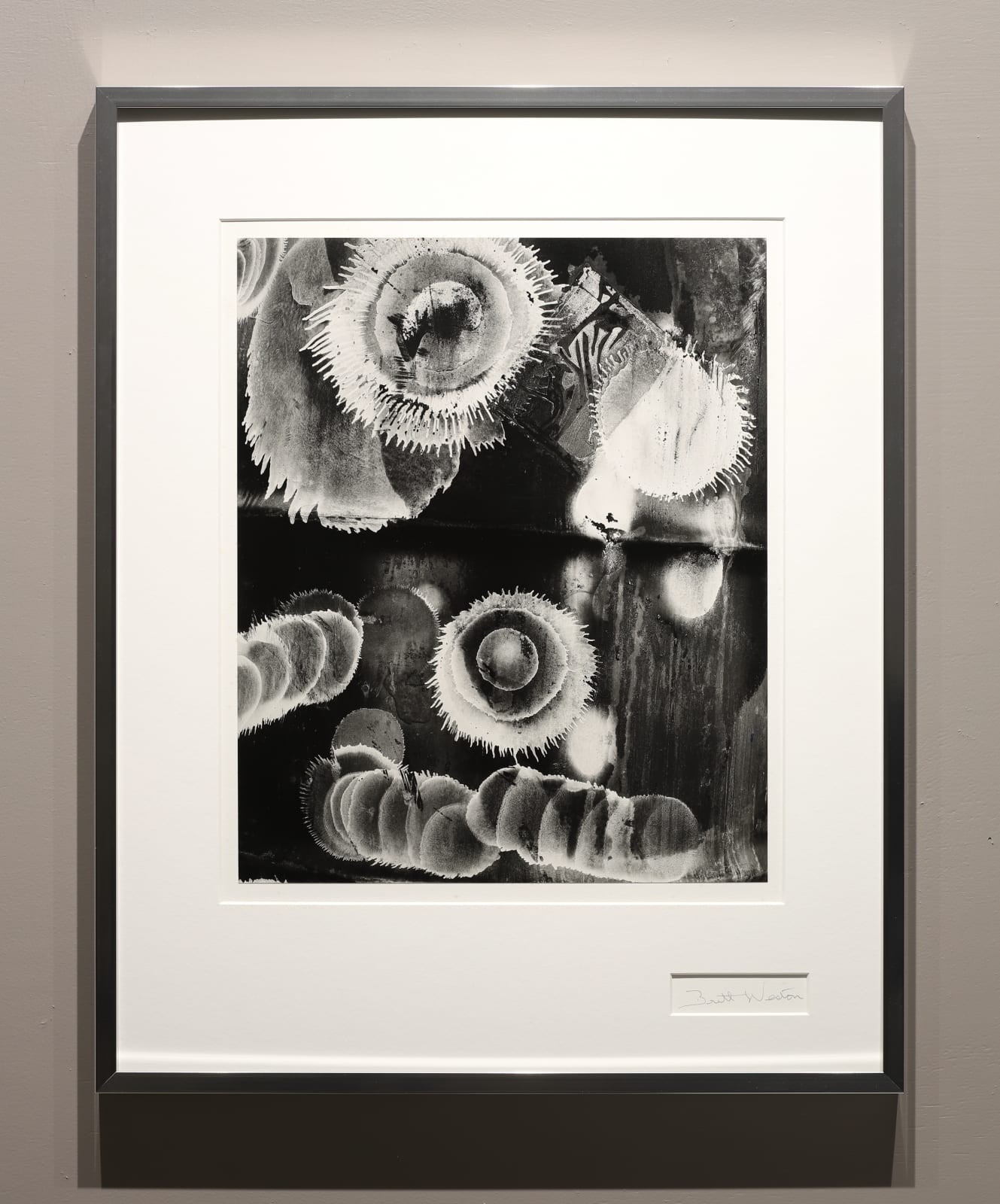Brett Weston, Paint, California, 1985