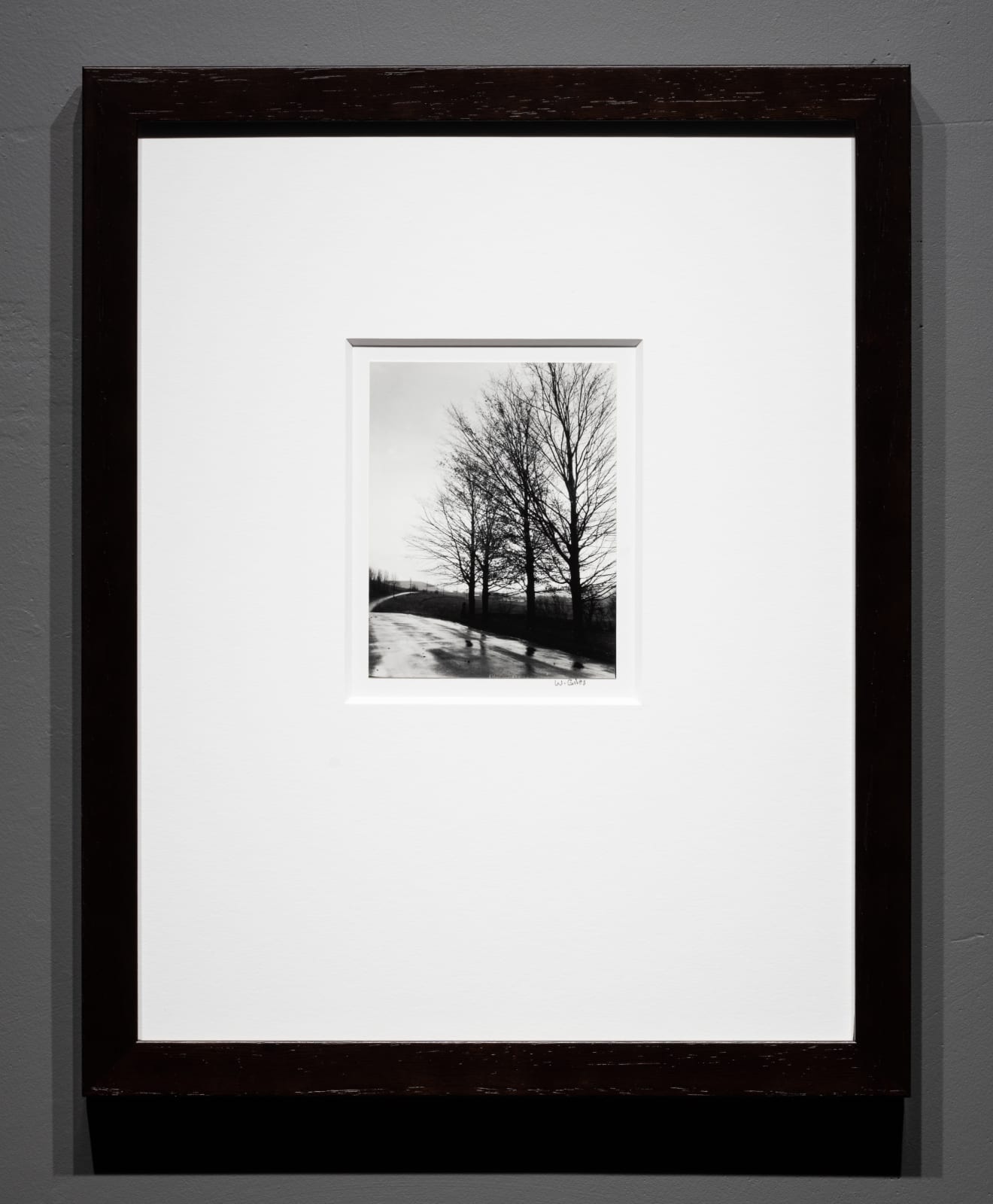 William B. Giles, Trees and Road, c. 1975