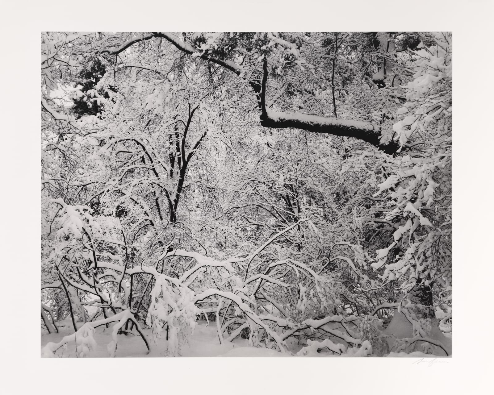 Ansel Adams, Fresh Snow, Yosemite Valley, 1947