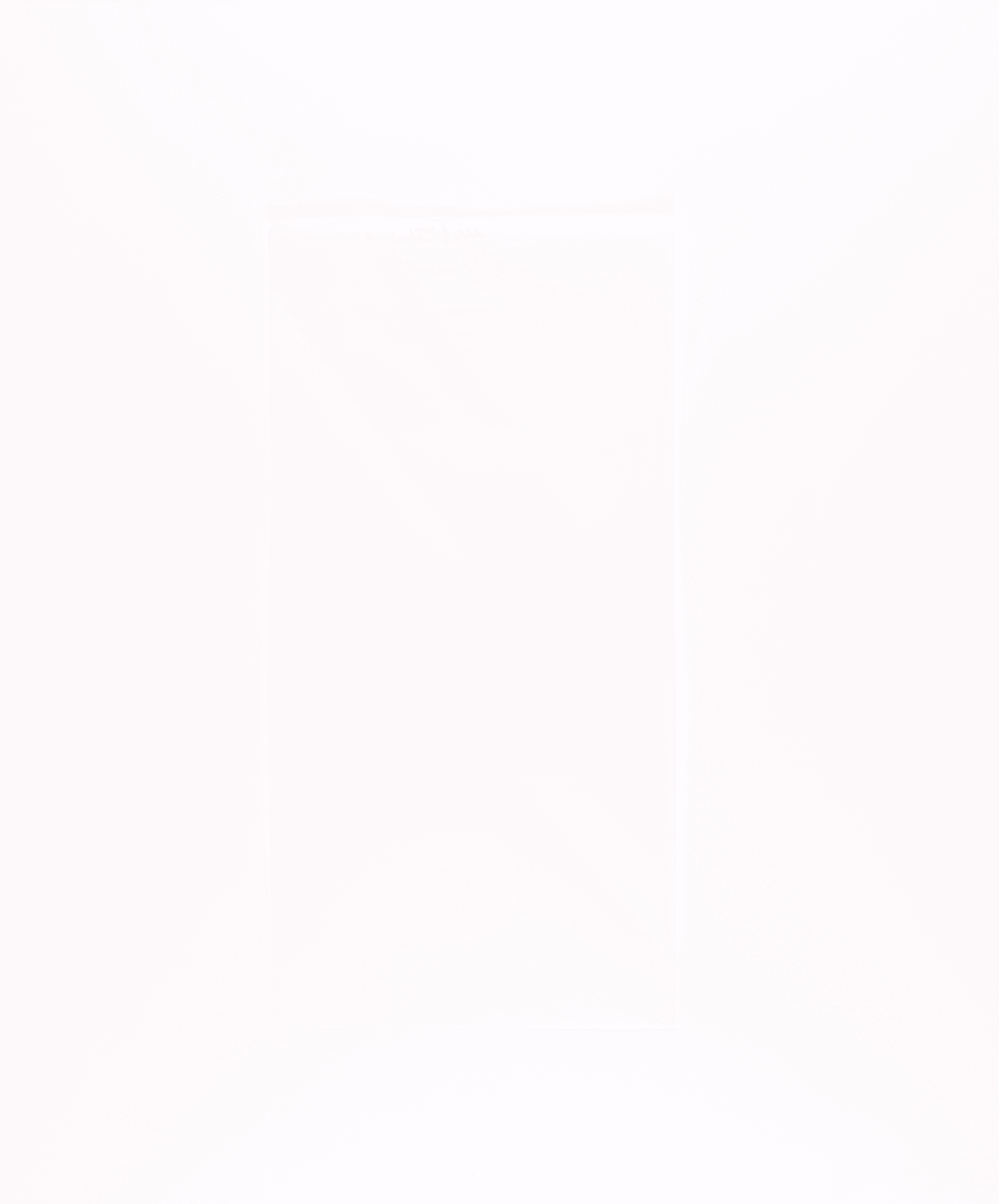 Brett Weston, White Tree, 1974