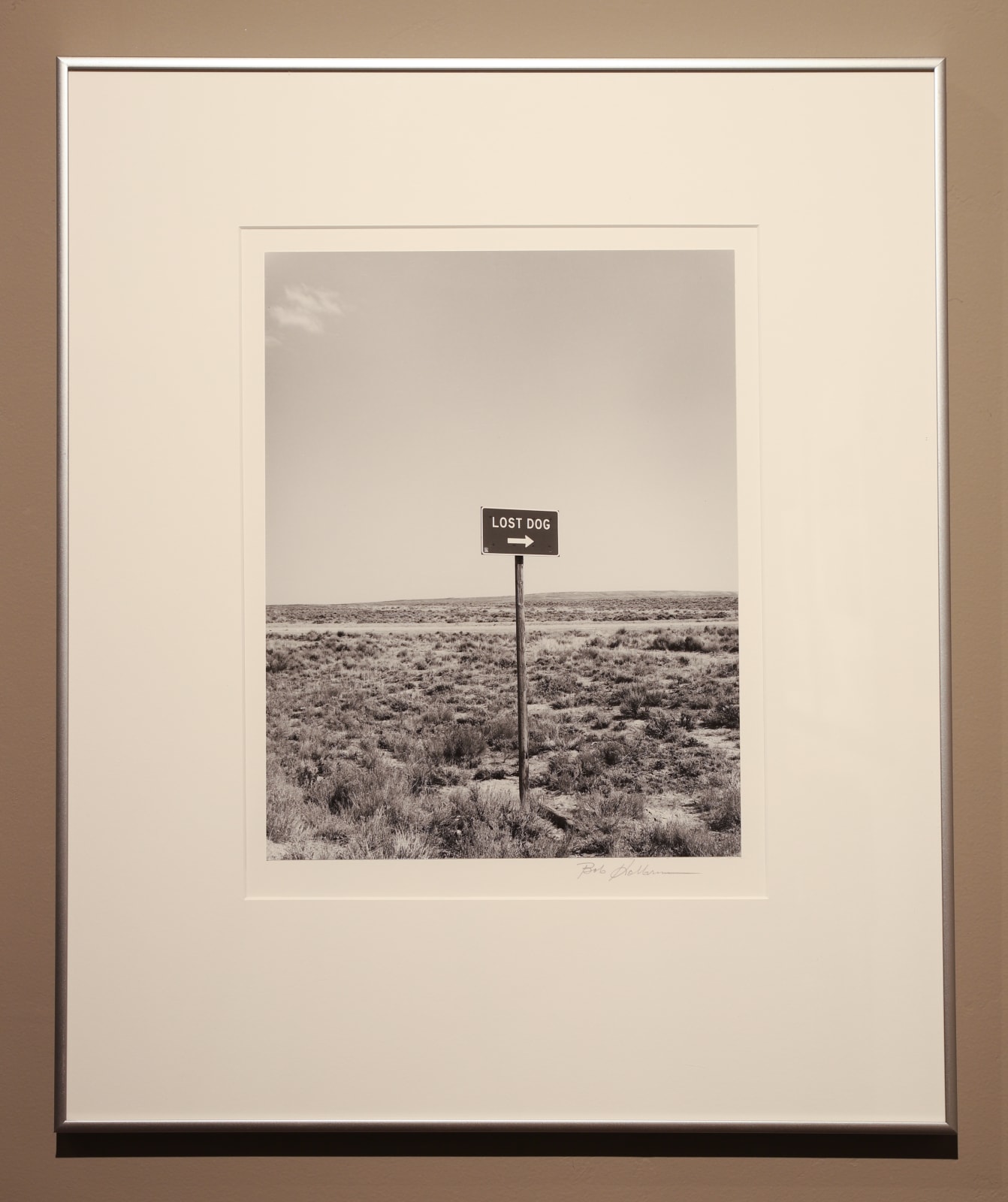 Bob Kolbrener, Lost Dog, Nevada, 1979