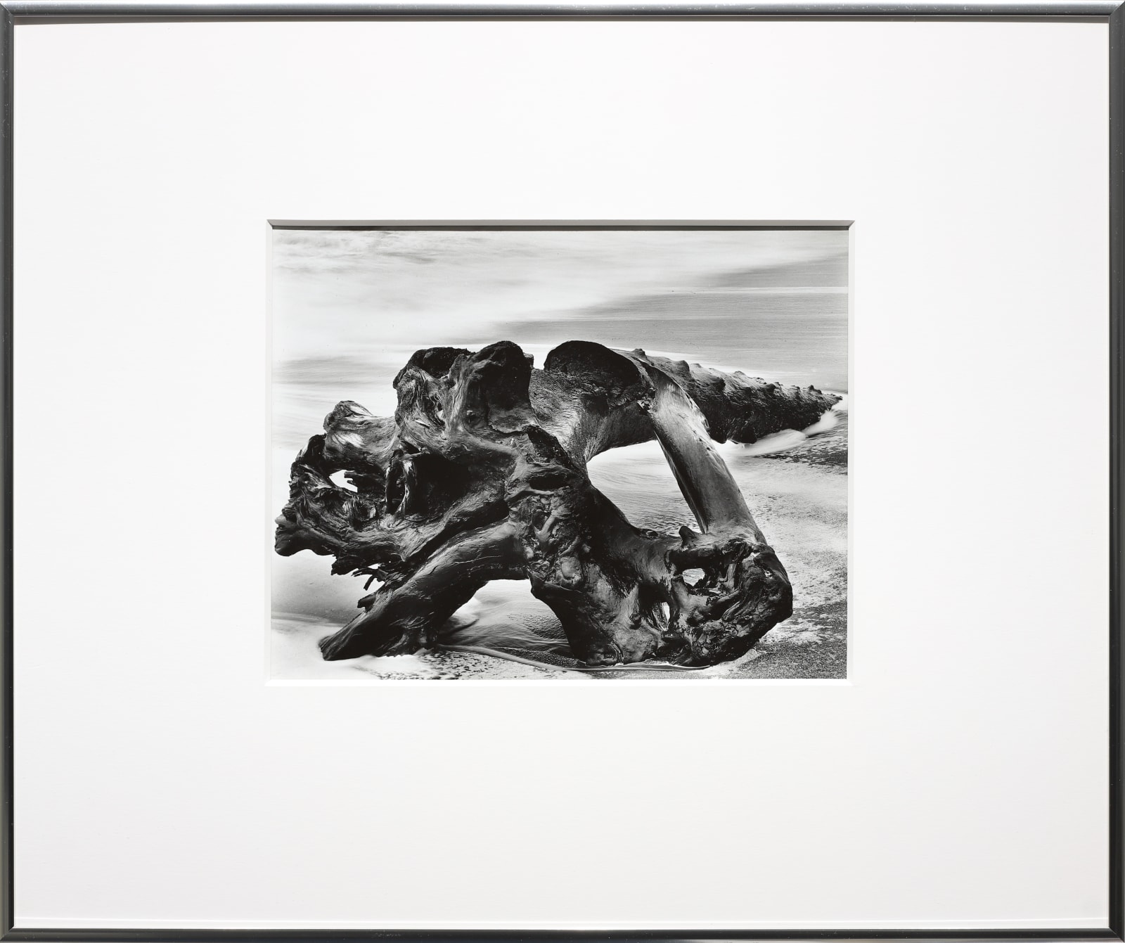 Wynn Bullock, Driftwood, 1951