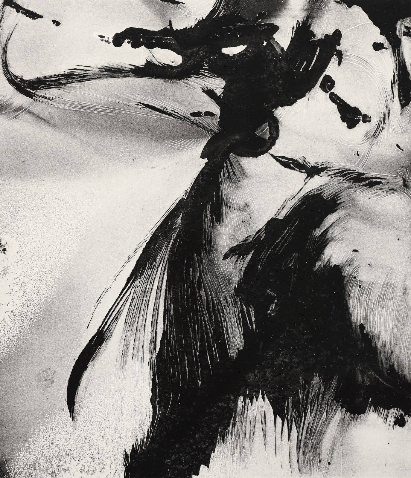 Brett Weston, Elegant Gorp, Near Mariposa, CA, 1976