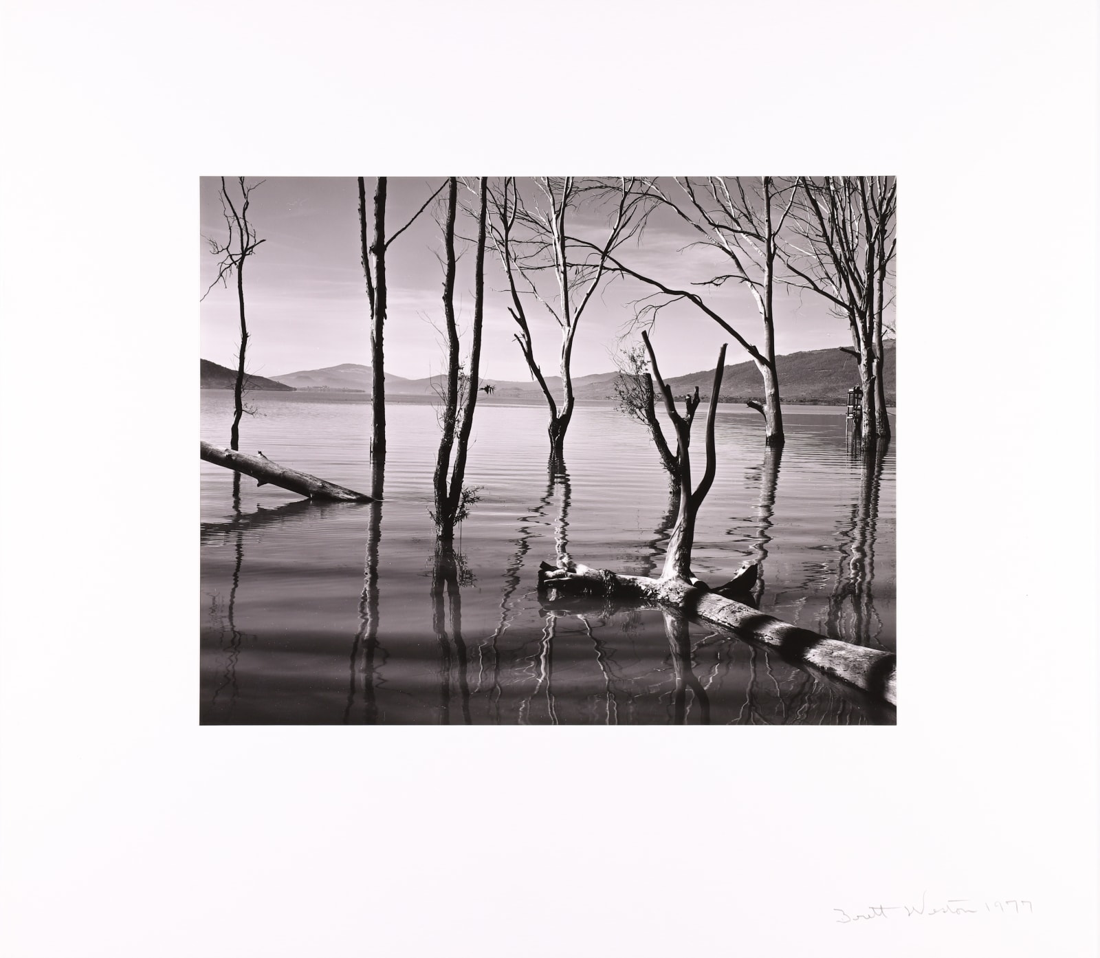 Brett Weston, Lake Patzcuaro, Mexico, 1977